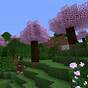 How To Find Cherry Blossom Biome Minecraft