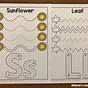 Fall Time Tracing Worksheet