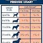 Iams Puppy Large Breed Feeding Chart
