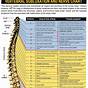 Chart Of Effects Of Spinal Misalignment Pdf