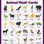 Farm Animal Flash Cards Printable