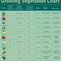 Vegetable Time From Planting To Harvest