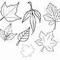 Printable Cut Out Leaves