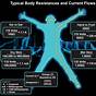 Human Body Resistance Chart