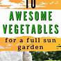 Vegetables Requiring Less Sun