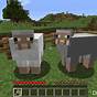 Sheep Breed Minecraft