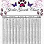 Yorkie Birth Weight Chart
