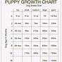 English Lab Growth Chart