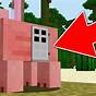 How To Tame Pigs In Minecraft