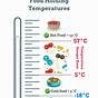Hot Food Holding Temperature Chart