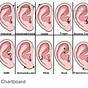 Ear Piercings Chart Meaning