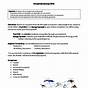 Energy In Ecosystems Worksheet