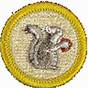 Mammal Study Merit Badge