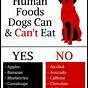 Chart Of Foods Dogs Can And Cannot Eat