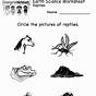 Reptile Worksheets For Kindergarten