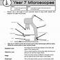How To Use A Microscope Worksheet