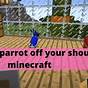 How To Get Bird Off Of Shoulder In Minecraft