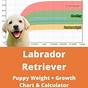 Weight Chart For Labrador Puppy