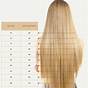 Hair Extension Length Comparison
