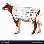 Cow Meat Chart Anatomy & Diagram Of Cow Parts