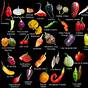 Types Chili Peppers Chart