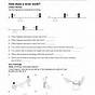 Types Of Levers Worksheet Answers