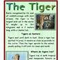 Tiger Safe And Smart Worksheets