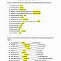 Directional Terminology Worksheet Answers