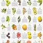 Fruit Juice Combination Chart