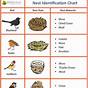Wisconsin Bird Egg Identification Chart