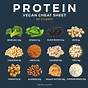 Vegan Protein List Pdf
