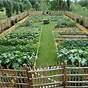 How Big Vegetable Garden