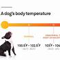 Dog Outdoor Temperature Chart