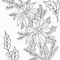 Poinsettia Coloring Page Printable