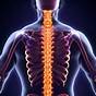 How To Correct Spinal Misalignment