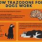 Trazodone Dosing Chart For Dogs