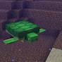 Minecraft How To Breed Turtles