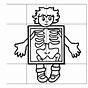 Kindergarten Skeleton Worksheets