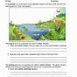 Free Environmental Science Worksheets