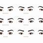Female Eye Shape Chart