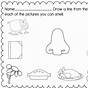 My Five Senses Worksheets