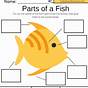 Fish Worksheet Kindergarten