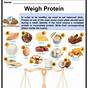 Protein Worksheet For Kids