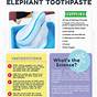 Elephant Toothpaste Lab Worksheet