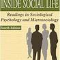 Sociological Lives And Ideas Second Edition Pdf