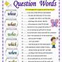 What Question Worksheets