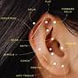 Ear Piercings Chart Diagram