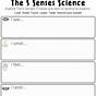 Fun Science Worksheets For Kindergarten