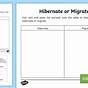 Hibernate Migrate Adapt Worksheets
