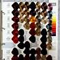 Hair Number Color Chart